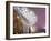 Western Concourse of King's Cross Station, London, England, United Kingdom, Europe-Adina Tovy-Framed Photographic Print