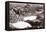 Western Front During the Great War-English Photographer-Framed Premier Image Canvas