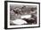 Western Front During the Great War-English Photographer-Framed Photographic Print