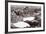 Western Front During the Great War-English Photographer-Framed Photographic Print