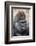 Western Gorilla in a zoo-Adam Jones-Framed Photographic Print