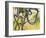 Western Green Mamba or Hallowell's Green Mamba (Dendroaspis Viridis), Elapidae-null-Framed Giclee Print