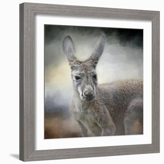 Western Grey Kangaroo-Jai Johnson-Framed Giclee Print