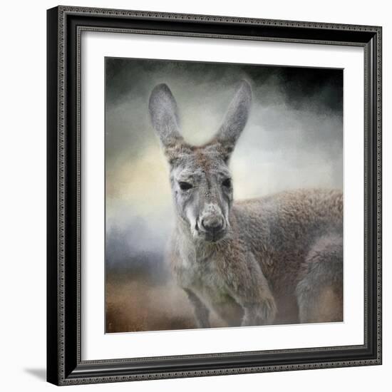 Western Grey Kangaroo-Jai Johnson-Framed Giclee Print