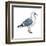 Western Gull (Larus Occidentalis), Birds-Encyclopaedia Britannica-Framed Art Print