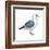 Western Gull (Larus Occidentalis), Birds-Encyclopaedia Britannica-Framed Art Print