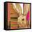 Western Jack Rabbit-Robbin Rawlings-Framed Stretched Canvas