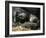 Western Lowland Gorilla, Cradles Her 3-Day Old Baby at the Franklin Park Zoo in Boston-null-Framed Photographic Print