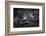 Western Lowland Gorilla (Gorilla Gorilla Gorilla) Twin Babies Age 45 Days Resting on Mother's Chest-Edwin Giesbers-Framed Photographic Print