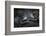 Western Lowland Gorilla (Gorilla Gorilla Gorilla) Twin Babies Age 45 Days Resting on Mother's Chest-Edwin Giesbers-Framed Photographic Print