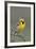 Western Meadow Lark Singing-Ken Archer-Framed Photographic Print