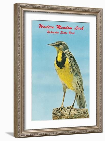 Western Meadowlark-null-Framed Art Print