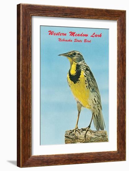 Western Meadowlark-null-Framed Art Print