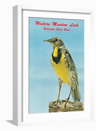 Western Meadowlark-null-Framed Art Print