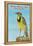 Western Meadowlark-null-Framed Stretched Canvas