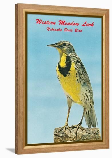 Western Meadowlark-null-Framed Stretched Canvas