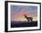 Western Memories-Chuck Black-Framed Giclee Print