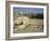 Western or Wailing Wall, with the Gold Dome of the Rock, Jerusalem, Israel-Simanor Eitan-Framed Photographic Print