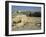 Western or Wailing Wall, with the Gold Dome of the Rock, Jerusalem, Israel-Simanor Eitan-Framed Photographic Print