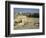 Western or Wailing Wall, with the Gold Dome of the Rock, Jerusalem, Israel-Simanor Eitan-Framed Photographic Print