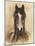 Western Ranch Animals I-Ethan Harper-Mounted Art Print