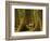 Western Red Cedar, Hoh Rain Forest, Olympic National Park, Washington, USA-Michel Hersen-Framed Photographic Print