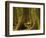 Western Red Cedar, Hoh Rain Forest, Olympic National Park, Washington, USA-Michel Hersen-Framed Photographic Print