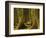 Western Red Cedar, Hoh Rain Forest, Olympic National Park, Washington, USA-Michel Hersen-Framed Photographic Print