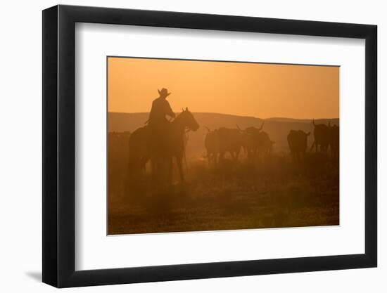 Western Roundup Number 1-Steve Gadomski-Framed Photographic Print