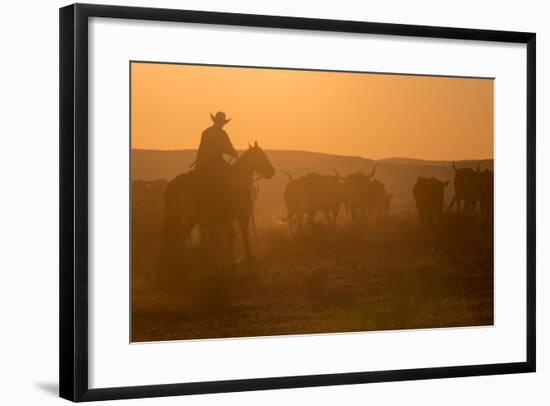 Western Roundup Number 1-Steve Gadomski-Framed Photographic Print