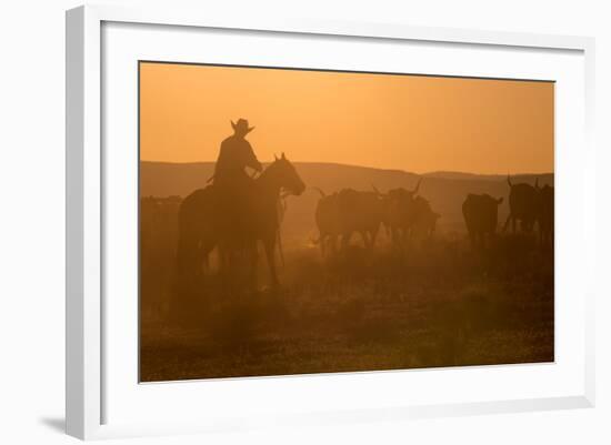 Western Roundup Number 1-Steve Gadomski-Framed Photographic Print