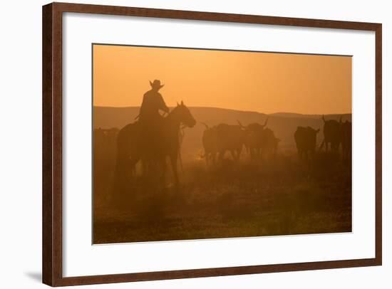 Western Roundup Number 1-Steve Gadomski-Framed Photographic Print