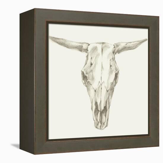 Western Skull Mount II-Ethan Harper-Framed Stretched Canvas