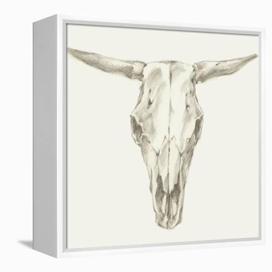 Western Skull Mount II-Ethan Harper-Framed Stretched Canvas