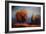 Western Sky I-Sokol Hohne-Framed Art Print