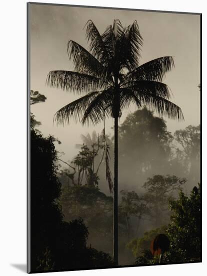 Western Slope of the Andes, San Isidro, Ecuador-Pete Oxford-Mounted Photographic Print