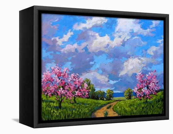 Western Slope Orchard in Spring-Patty Baker-Framed Stretched Canvas