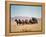 Western Stagecoach Pulled by a Six Mule Team-null-Framed Premier Image Canvas