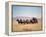 Western Stagecoach Pulled by a Six Mule Team-null-Framed Premier Image Canvas