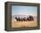 Western Stagecoach Pulled by a Six Mule Team-null-Framed Premier Image Canvas