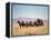 Western Stagecoach Pulled by a Six Mule Team-null-Framed Premier Image Canvas