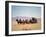 Western Stagecoach Pulled by a Six Mule Team-null-Framed Giclee Print