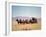 Western Stagecoach Pulled by a Six Mule Team-null-Framed Giclee Print