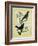 Western Tanager Et Spotted Tanager-Georges-Louis Buffon-Framed Giclee Print