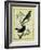 Western Tanager Et Spotted Tanager-Georges-Louis Buffon-Framed Giclee Print