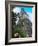 Western Traveler with Temple I, Tikal Ruins, Guatemala-Keren Su-Framed Photographic Print