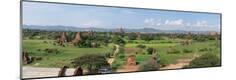 Premium Photographic Print