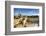 Western Wall and Dome of the Rock in the Old City of Jerusalem, Israel.-SeanPavonePhoto-Framed Photographic Print