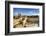 Western Wall and Dome of the Rock in the Old City of Jerusalem, Israel.-SeanPavonePhoto-Framed Photographic Print