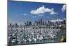 Westhaven Marina, and Sky Tower, Auckland, North Island, New Zealand-David Wall-Mounted Photographic Print